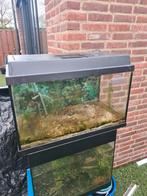 Juwel aquarium 60x30 met grindbodem, Ophalen of Verzenden, Gebruikt, Leeg aquarium
