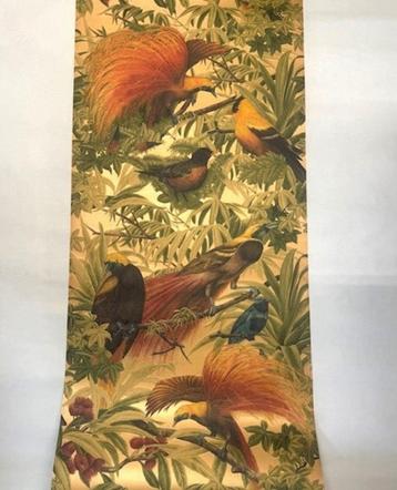 Jungle behang paradijs vogels sierdieren beschikbaar voor biedingen