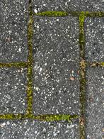 Gratis beton klinkers 35m2, Tuin en Terras, Tegels en Klinkers, Ophalen, Zo goed als nieuw, Beton, Klinkers
