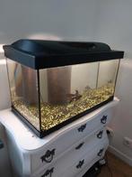 Tetra 60 liter aquarium te koop!, Dieren en Toebehoren, Vissen | Aquaria en Toebehoren, Ophalen, Gebruikt, Leeg aquarium