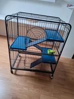 Fretten/ratten kooi, Dieren en Toebehoren, Ophalen, Kooi, Zo goed als nieuw, Rat