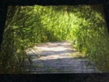 NIEUW! Xpozer foto & ophangsysteem 90x135cm € 22,99 (NR25) beschikbaar voor biedingen