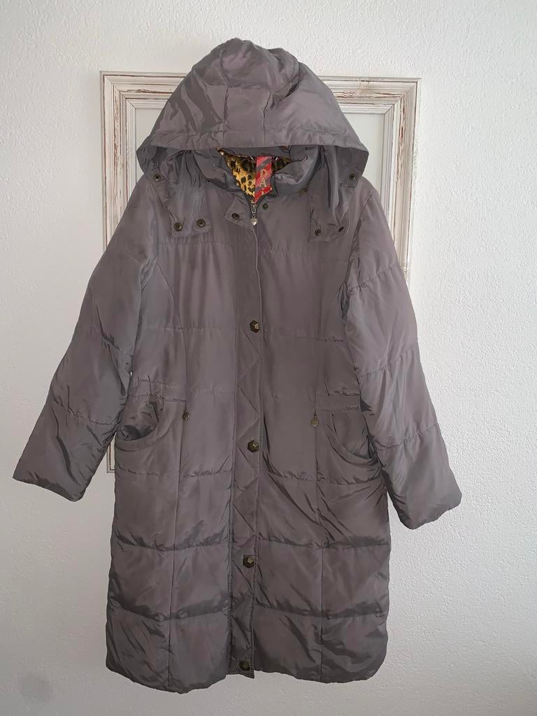 DAITE winterjas maat  42 ZGAN, Kleding | Dames, Jassen | Winter, Ophalen of Verzenden, Zo goed als nieuw, Maat 42/44 (L), Grijs