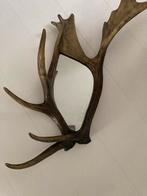 Unieke Spiegel met Gewei, Ophalen, Gebruikt, 75 tot 100 cm, Minder dan 100 cm