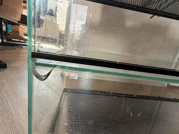 Terrarium, hamsterhok, Dieren en Toebehoren, Knaagdieren en Konijnen | Hokken en Kooien, Zo goed als nieuw, Overige typen, Minder dan 60 cm