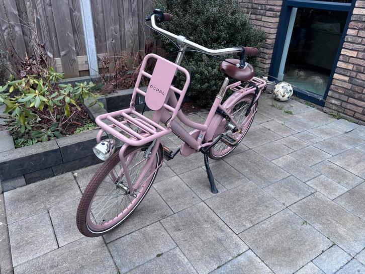 Nogan Cargo N3 Meisjesfiets 22 inch - Roze, Fietsen en Brommers, Fietsen | Meisjes, Gebruikt, Ophalen
