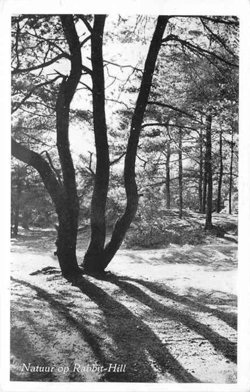 (301-259-005) Garderen Natuur op Rabbit Hill, Verzamelen, Ansichtkaarten | Nederland, Gelderland, Verzenden