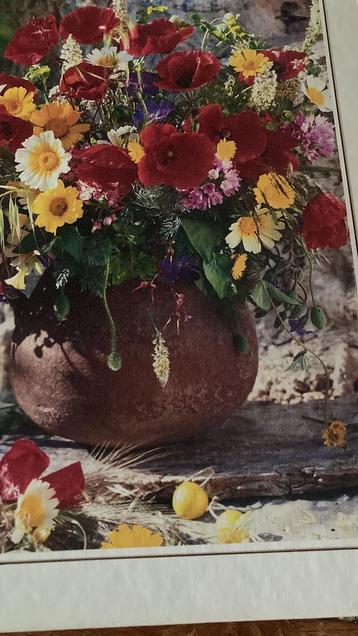 Mooie klaprozen / bloemenpuzzel. beschikbaar voor biedingen