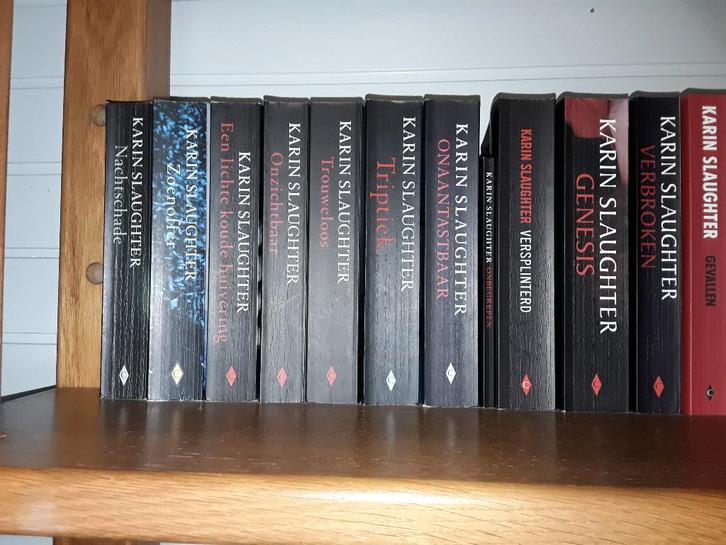 Karin Slaughter Boekenpakket met 20 Boeken, Boeken, Thrillers, Zo goed als nieuw, Europa overig, Ophalen of Verzenden