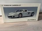 Porsche Carrera GT silver kartonnen doos, Hobby en Vrije tijd, Modelauto's | 1:18, Ophalen of Verzenden, Zo goed als nieuw
