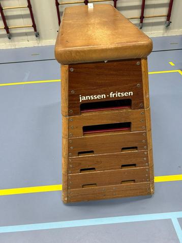 Janssen Fritsen kast te koop beschikbaar voor biedingen