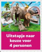 4 kaartjes dagje uit na keuze, Drie personen of meer