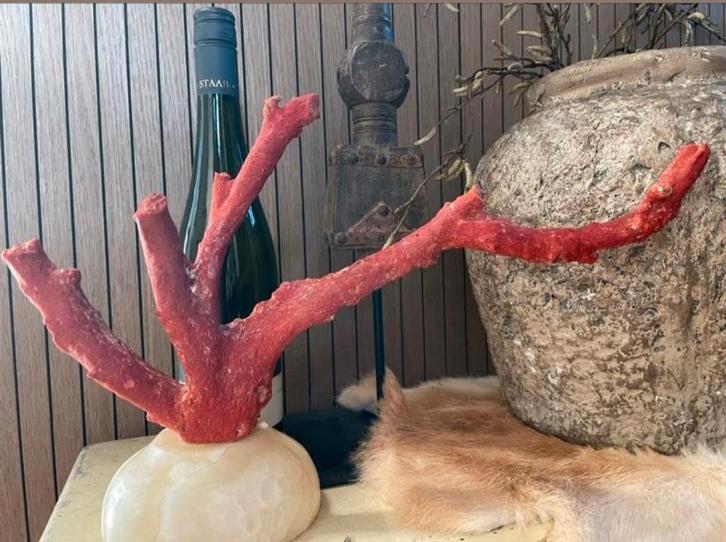 Prachtig groot stuk mediterraan bloedkoraal, Antiek en Kunst, Antiek | Overige Antiek, Ophalen