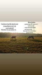 Vakantieplek paard/pony aangeboden, Dieren en Toebehoren, Stalling en Weidegang
