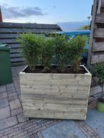 nieuwe bloembakken, Vierkant, Nieuw, Ophalen of Verzenden, Tuin