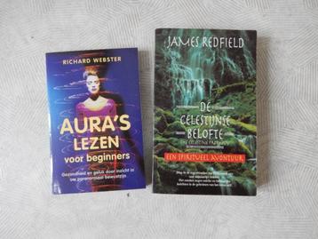 Celestijnse Belofte Redfield Aura's Lezen voor Beginners beschikbaar voor biedingen