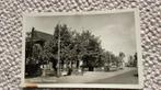 Ansichtkaart Harskamp Dorpsstraat 1955. 937, Ophalen of Verzenden, 1940 tot 1960, Gelopen, Gelderland
