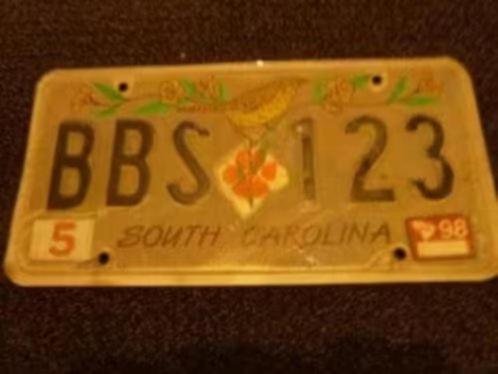 Kentekenplaat licenseplate South Carolina Yellow Bird USA, Verzamelen, Automerken, Motoren en Formule 1, Gebruikt, Auto's, Verzenden