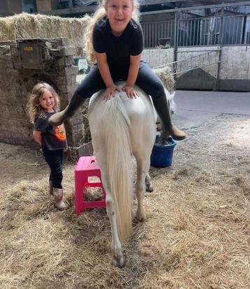 Buitenkansje prachtige kinderpony beschikbaar voor biedingen