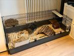 Ferplast Konijnenkooi Rabbit  - 140x71x51 cm Grijs Zwart 140, Dieren en Toebehoren, Kooi, Cavia, Ophalen, Minder dan 60 cm