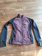 Paars/Donkerblauwe Jas voor Paardrijden, xs., Gebruikt, Overige soorten, Ophalen of Verzenden, Dames