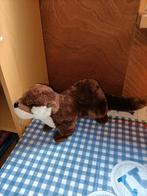 Otter knuffel 29 cm lang, Ophalen of Verzenden