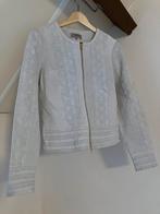 Ibana suede leren jasje, lichtgrijs, mt. 38, Kleding | Dames, Ophalen of Verzenden, Zo goed als nieuw, Maat 38/40 (M), Grijs