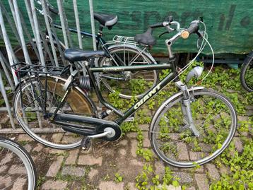Giant herenfiets met Versnellingen beschikbaar voor biedingen