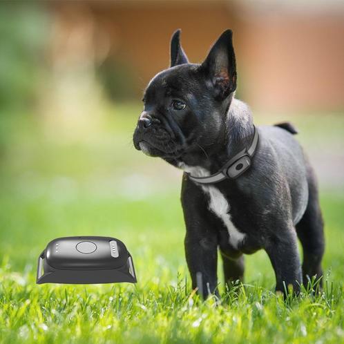 GPS Tracker voor Honden met Activiteitsmonitor, Dieren en Toebehoren, Honden-accessoires, Nieuw, Ophalen of Verzenden