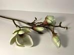 Magnolia Tak, Nieuw, Binnen, Verzenden