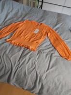 Dunne Trui maat L  nieuw, Kleding | Dames, Truien en Vesten, Ophalen, Nieuw, Maat 46/48 (XL) of groter