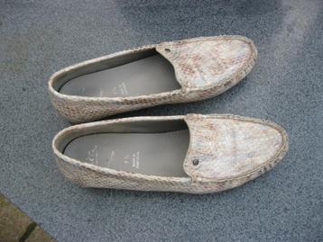 Schoenen / Dames / Maat 7,5   beschikbaar voor biedingen