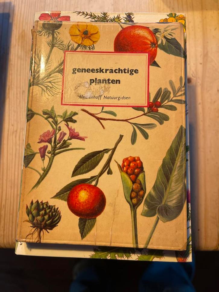 Geneeskrachtige Planten - Meulenhoff Natuurgidsen, Boeken, Natuur, Gelezen, Bloemen, Planten en Bomen, Ophalen of Verzenden