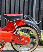 Bagagedrager voor korte buddy ei tank, Maximaal 45 km/u, 50 cc, 3 versnellingen, Ophalen