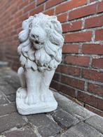 tuinbeeld leeuw  beton  45 cm, Ophalen, Gebruikt, Beton, Dierenbeeld