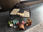 Hamsterkooi met glas, Kooi, Gebruikt, Minder dan 75 cm, Hamster
