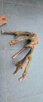Kienhout aquarium hout, Ophalen, Gebruikt, Plant(en), Steen of Hout