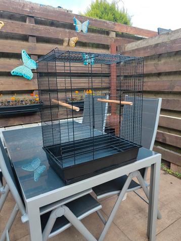 Mooie vogelkooi beschikbaar voor biedingen