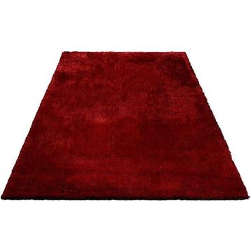 Aangeboden vloerkleed bordeaux rood 300x400 beschikbaar voor biedingen
