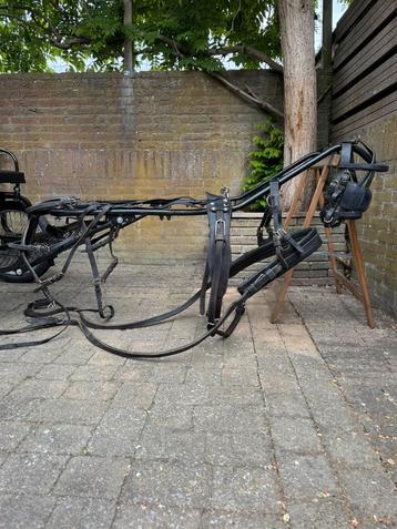 Compleet mentuig mini mini shetlander beschikbaar voor biedingen