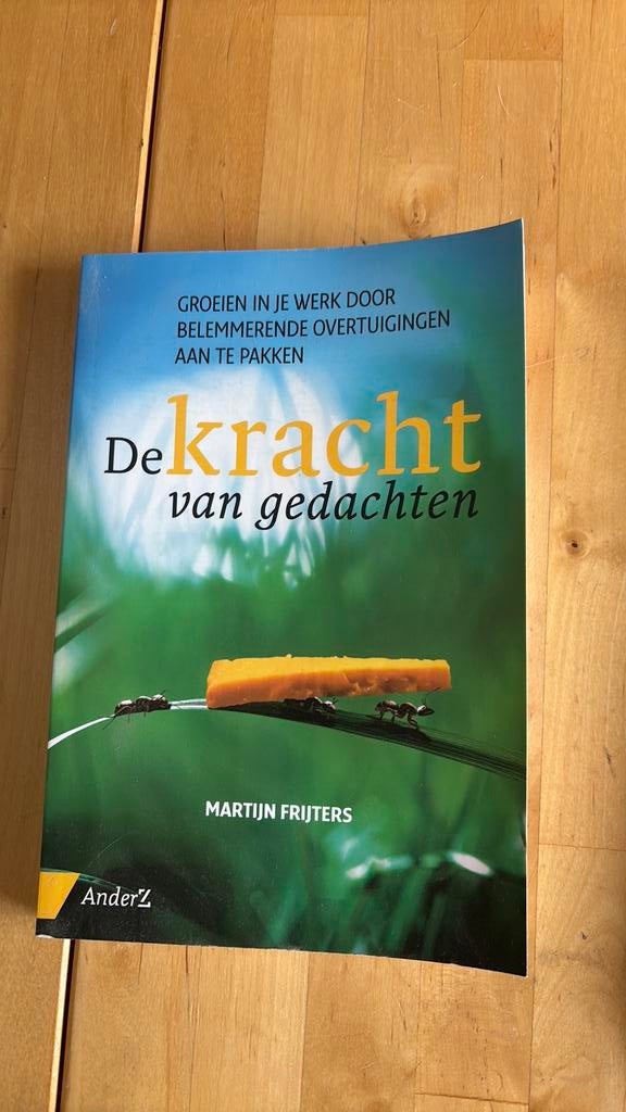 Martijn Frijters - De kracht van gedachten, Ophalen of Verzenden, Zo goed als nieuw, Martijn Frijters