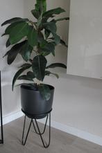 Bloempot (zwart) op zwart stalen frame, evt.incl plant, Tuin en Terras, Bloempotten, 25 tot 40 cm, Overige materialen, Rond, Binnen