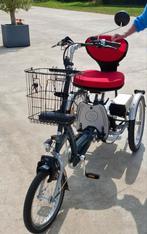 Van Raam Easy Go Scootmobielfiets ZGAN extra grote accu, Ophalen, Zo goed als nieuw, Van Raam