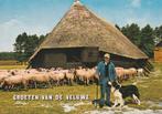 VELUWE Schaapskooi Groeten, Verzamelen, Verzenden, 1980 tot heden, Ongelopen, Gelderland