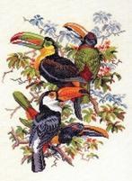 Eva Rosenstand Toucans, Hobby en Vrije tijd, Borduren en Borduurmachines, Ophalen of Verzenden, Nieuw, Handborduren, Borduurpakket
