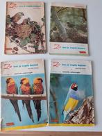 Vogel boeken, Ophalen of Verzenden, Zie foto’s