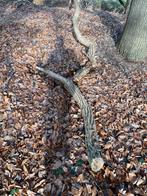 Sprokkelhout, Minder dan 3 m³, Ophalen