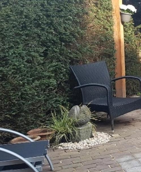 tuin ornament, Tuin en Terras, Tuinmeubel-accessoires, Gebruikt, Ophalen