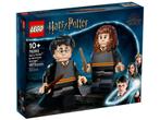 Lego 76393 harry potter & hermelien grote minifigureN NIEUW, Ophalen of Verzenden, Nieuw