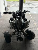 Goedwerkende Quad, Motoren, Quads en Trikes